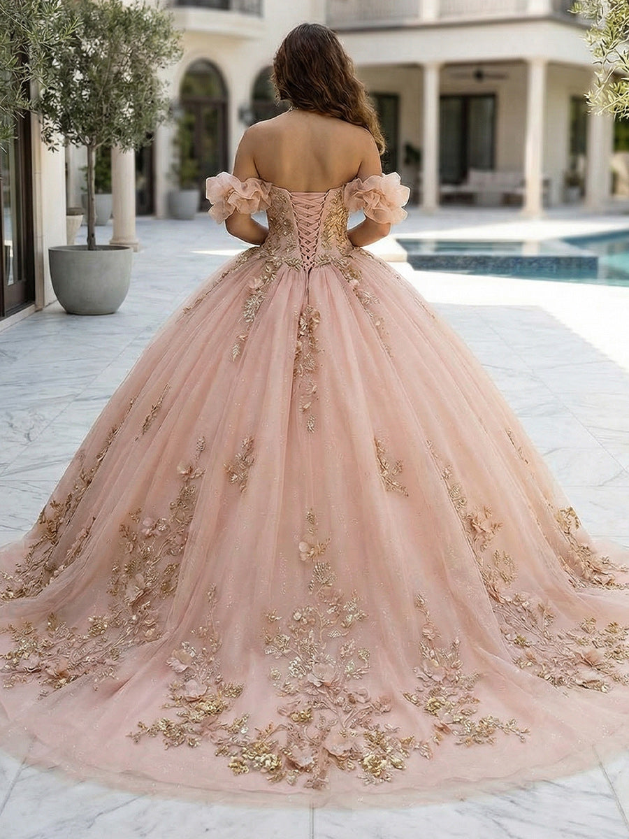 Sparkly Quinceanera Dresses Glitter Ball Gowns for Photoshoot for Princess Sweet 15