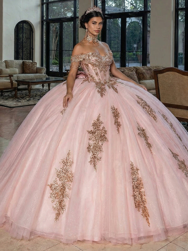 Tulles Quinceanera Dresses Off the Shoulder Photoshoot for Princess Ball Gowns Sweet 15