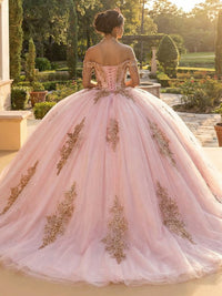 Tulles Quinceanera Dresses Off the Shoulder Photoshoot for Princess Ball Gowns Sweet 15