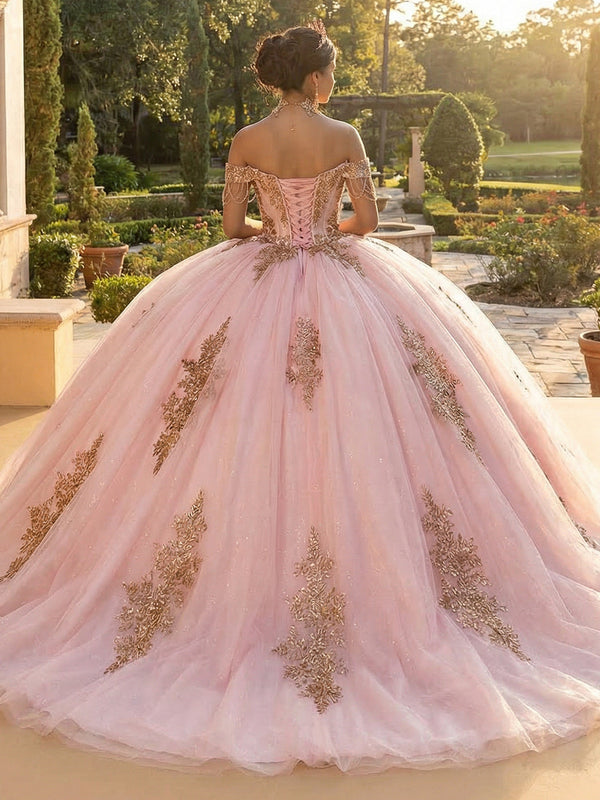 Tulles Quinceanera Dresses Off the Shoulder Photoshoot for Princess Ball Gowns Sweet 15