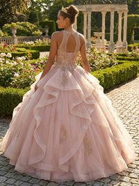 Round Neck Ball Gowns Tulles Ruffles Quinceanera Dresses Photoshoot for Sweet 15