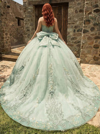 Tulles Strapless Quinceanera Dresses for Photoshoot Princess Gowns Sweet 15