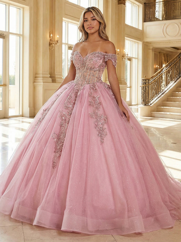 Sparkly Ball Gowns Tulles Quinceanera Dresses Photoshoot for Sweet 15