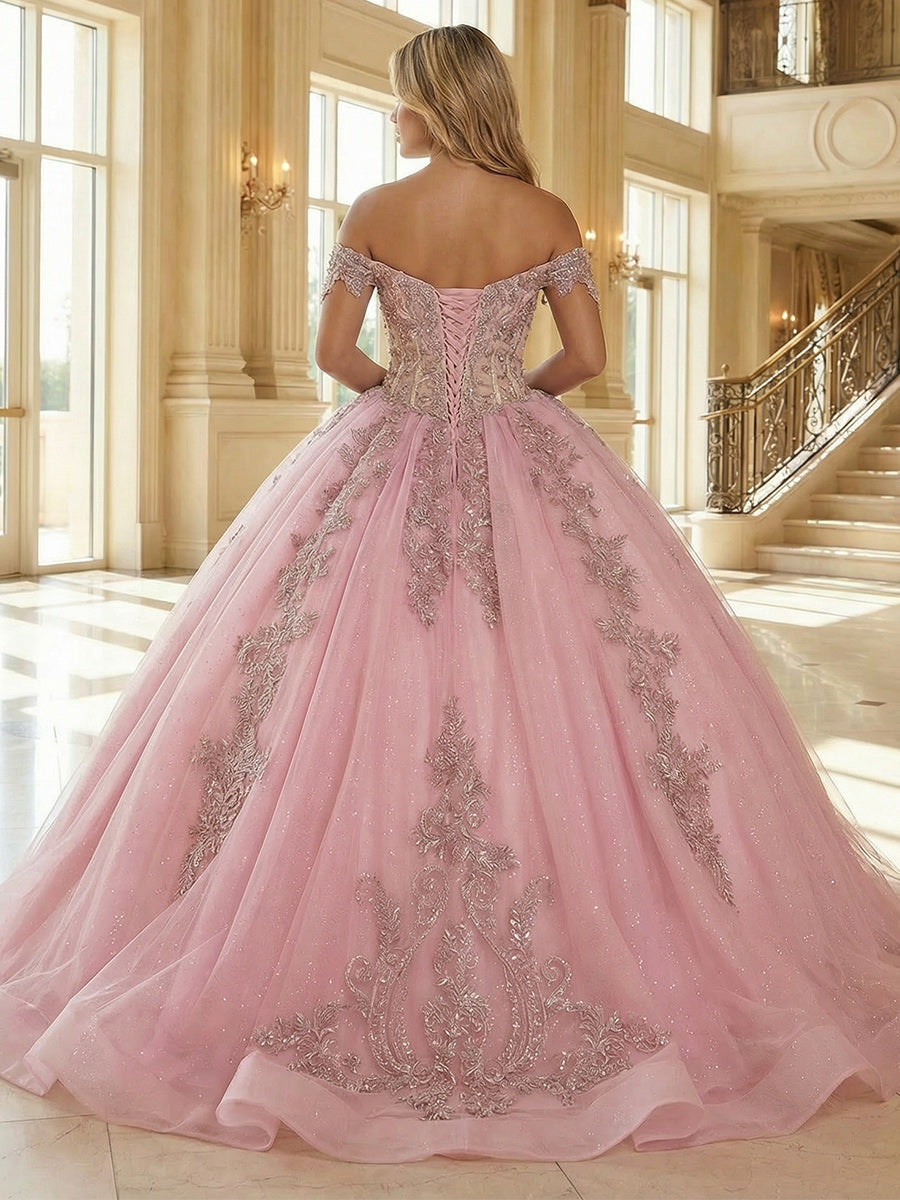 Sparkly Ball Gowns Tulles Quinceanera Dresses Photoshoot for Sweet 15