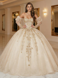 Tulles Laces Quinceanera Dresses Shinny Ball Gowns for Photoshoot for Princess Sweet 15