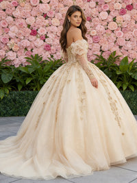 Tulles Laces Quinceanera Dresses Shinny Ball Gowns for Photoshoot for Princess Sweet 15