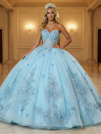 Sweetheart Ball Gowns Tulles Quinceanera Dress Photoshoot for Princess Sweet 15