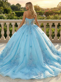Sweetheart Ball Gowns Tulles Quinceanera Dress Photoshoot for Princess Sweet 15